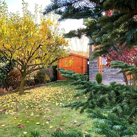 Bonita Con Gran Jardin 奥塞雅